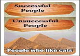 Successful People Unsuccessful People People who like cats