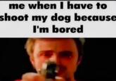 me when I have to shoot my dog because I'm bored
