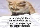 me studying all these man-made horrors so they are no longer beyond my comprehension Diamthatwitch