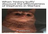When 'history buffs' discount the effectiveness of Elephants in Warfare Pathetic.