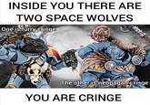 INSIDE YOU THERE ARE TWO SPACE WOLVES One is furry cringe The other is neopagan cringe YOU ARE CRINGE