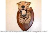 "There I was, rifle in hand, when the leopard came over the crest of the hill. I'll never forget the look on his face."