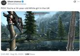 A meme reading, "POV: You're a 14-year-old White girl in the UK." The meme shows a screenshot from Skyrim.