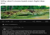 Why don't more bald men fight like this 3.9k BEST COMMENTS 1.2h 39 Share + 1 Award Fun fact: when pachysephalasaurs slammed their bald heads into eachother, they slowly get intense brain damage. Millennia later, their descendants are equally stupid reposters like you.