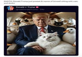 PHOTO: Donald Trump just posted Al meme of himself sitting with cats and ducks Donald J. Trump @realDonaldTrump. 34s