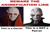 BEWARE THE ANIMEFICATION LINE This is a Pau'an This is a NOT a Pau'an