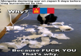Mongolia declaring war on Japan 5 days before they surrendered be like: Why? @KO Because F--- YOU That's why.