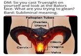 DM: So you cast Truesight on yourself and look at the Balors face. What are you trying to glean? Bard: Subliminal meaning. Fallopian Tubes Ovaries, Uterus Dure Postin Chitoris C------ -Vagina Vulva