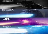 GODZILLA ゴジラ THE RETURN OF GODZILLA SHIN GODZILLA GODZILLA MINUS ONE