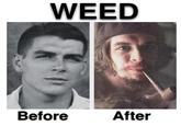 WEED Before After