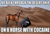 IVE BEEN THROUGH THE DESERT ON A ON A HORSE WITH COCAINE imgflip.com