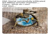 DM: You've successfully infiltrated the BBEGS private chamber... Player: What do I see? DM: Well... DE