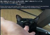 猫に指吸われるたびに大事な記憶一個ずつ吸われていってる 今もうお母さんの顔も思い出せない Translated from Japanese by Google Every time my cat sucks my finger, it sucks away one of my precious memories. Now I can't even remember my mother's face.