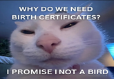 WHY DO WE NEED BIRTH CERTIFICATES? I PROMISE I NOT A BIRD