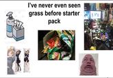 I've never even seen grass before starter pack + ays & Onio Sour Cre