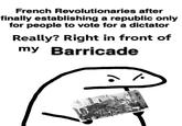 French Revolutionaries after finally establishing a republic only for people to vote for a dictator Really? Right in front of my Barricade