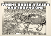 WHEN 1 ORDER A SALAD AND FOOL NO ONE THE A EATING THISTLESS
