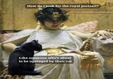 How do I look for the royal portrait? Like someone who's about to be upstaged by their cat
