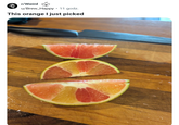 r/Weird • u/Brew_Happy 11 godz. This orange I just picked
