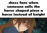 chess fans when someone calls the horse shaped piece a horse instead of knight