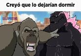 Creyó que lo dejarían dormir KAIJUPOSTING