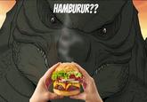 HAMBURUR??
