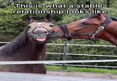 This is what a stable relationship looks like wer.nl וח E