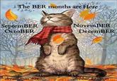 A meme showing a cat in a scarf celebrating fall. The meme reads "the ber months are here." The art is by Debbie Kenyon.