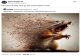 A "quote-tweet":https://knowyourmeme.com/memes/quote-retweets-qrts of the original Disintegrating Squirrel "tweet":https://knowyourmeme.com/memes/sites/twitter-x referencing the "_JoJo's Bizarre Adventure_":https://knowyourmeme.com/memes/subcultures/jojos-bizarre-adventure episode "Let's Go Eat Some Italian Food."