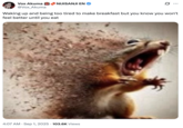 A "tweet":https://knowyourmeme.com/memes/sites/twitter-x using the Disintegrating Squirrel image, which is a seemingly "AI-generated image":https://knowyourmeme.com/memes/cultures/ai-art of a squirrel screaming and disintegrating.