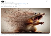 A "tweet":https://knowyourmeme.com/memes/sites/twitter-x using the Disintegrating Squirrel image, which is a seemingly "AI-generated image":https://knowyourmeme.com/memes/cultures/ai-art of a squirrel screaming and disintegrating.