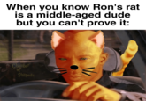 Okay I'll stop | /r/dankmemes When you know Ron's rat is a middle-aged dude but you can't prove it: Chamber of Shitposts