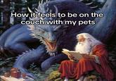 How it feels to be on the Couch with my pets