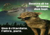 Italianizzazione del meme sui due lupi ritardati dentro di te.