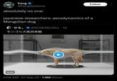 Fang @FangSystems absolutely no one: Follow japanese researchers: aerodynamics of a Mongolian dog t3. @STGEAR CELL 1d せる。 + モンゴル犬風洞実験 0:03 1:08 AM - 01 Sep 25 1.6M Views
