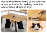 Feline-friendly furniture gives your cat a seat at the table, making them the centerpiece at dinner time.