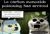 Le carbon monoxide poisoning has arrived Ironically... some of my ancestors were holocaust survivors... Hallucination