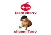 team cherry TERRY cheem Terry