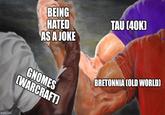 imgflip.com BEING HATED AS A JOKE TAU (40K) GNOMES (WARCRAFT) BRETONNIA COLD WORLD]