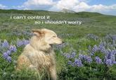 i can't control it so i shouldn't worry