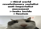 >third world revolutionary socialist anti-imperialist movement > looks inside >fascism