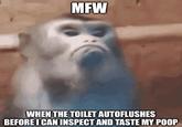 MFW WHEN THE TOILET AUTOFLUSHES BEFORE I CAN INSPECT AND TASTE MY POOP