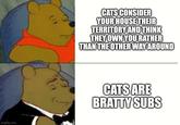 imgflip.com CATS CONSIDER YOUR HOUSE THEIR TERRITORY AND THINK THEY OWN YOU RATHER THAN THE OTHER WAY AROUND CATS ARE BRATTY SUBS