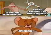 EUROPEANS BEING BILINGUAL ASIANS KNOWING 3 OR MORE LANGUAGES A RH AMERICANS