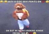 W-- A DOG WIF PANTS ON 100 OK BUT HE DO BE LOOKING KINDA FRESH THO
