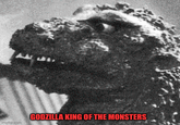 imgflip.com GODZILLA KING OF THE MONSTERS