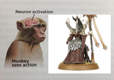 Neuron activation Monkey sees action