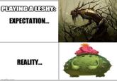 PLAYING A LESHY: EXPECTATION... imgflip.com REALITY...