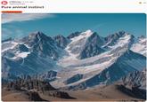 An image of a mountain. The mountain resembles Hornet's head.