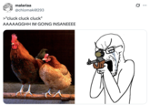 A "quote-tweet":https://knowyourmeme.com/memes/quote-retweets-qrts of the September 2025 "tweet":https://knowyourmeme.com/memes/sites/twitter-x from user @PNWGUERRILLA about him allegedly shooting and killing a rooster with a 12-gauge shotgun because the animal attacked his nephew.